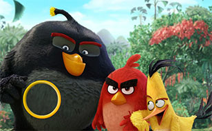 Jeu Angry birds - Lettres cachées