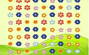Jeu Fleurs - Match 3