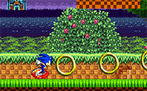 Jeu Sonic Extreme Run